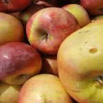 Kāpēc uz kartupeļiem likt ābolu: neliels triks ar lielu garšu kapec-uz-kartupeliem-likt-abolu-neliels-triks-ar-lielu-garsu.jpg